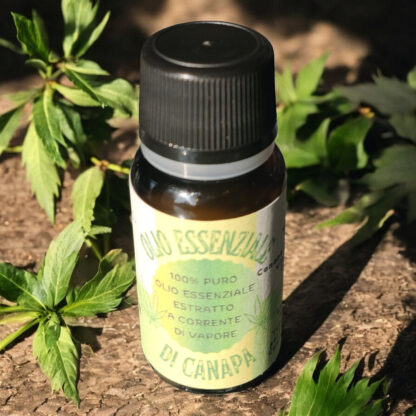 Olio essenziale di canapa puro 10ml