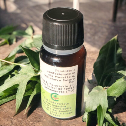 Olio essenziale di canapa puro 10ml - immagine 3