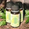 Olio essenziale di canapa puro 10ml - immagine 5